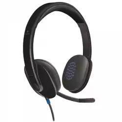 LOGITECH H540 USB HEADSET                          