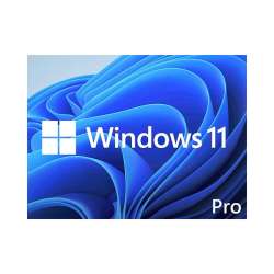 WIN 11 PRO 64BIT ENG DSP DVD                          