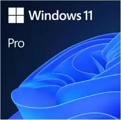 WIN 11 PRO 64BIT ENG USB FPP                          