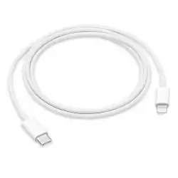 Apple USB-C to Lightning Cable (1 m)                          