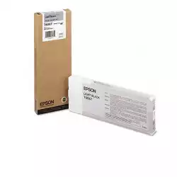 EPSON 5LB T6067 ink cartridge light black standard capacity 220ml 1-pack