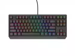 Genesis Gaming Keyboard Thor 230 TKL Lite US Rainbow Mechanical Outemu Red Black Hot Swap