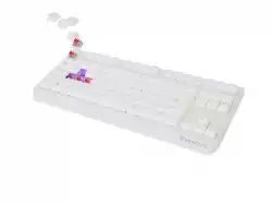 Genesis Gaming Keyboard Thor 230 TKL Wireless US White RGB Mechanical Outemu Red