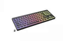 Genesis Gaming Keyboard Thor 430 TKL Wireless, US, RGB Mechanical Outemu Pink, Silent Slim, Black                          