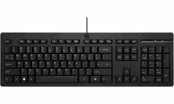 HP 125 Wired Keyboard                          