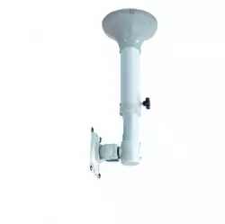 Neomounts Flat Screen Ceiling Mount (Height: 37-47 cm) Neomounts Flat Screen Ceiling Mount (Height: 37-47 cm)