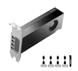 PNY Nvidia RTX 2000 16GB GDDR6 ADA Gen. LP