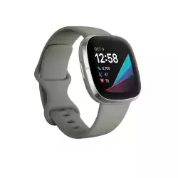 Смартчасовник Fitbit Sense, Sage Grey Silver Stainless Steel