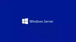 Windows Server CAL 2025 English 1pk DSP OEI 1 Clt User CAL