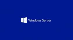 Windows Svr Std 2025 English 1pk DSP OEI 2Cr NoMedia/NoKey (APOS) AddLic