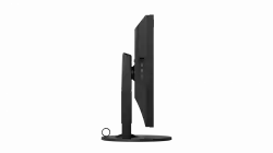 Монитор EIZO CG319X 31.1 inch, IPS LED 4K, 4096 x 2160, Hardware Calibration Monitor, WideGamut, 2xHDMI, 2xDisplay Port, USB, черен