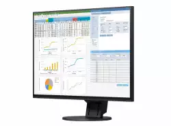 Монитор EIZO EV2457-BK, 24.1", 16:10, 1920x1200, 350 cd/m2, 178/178, IPS , Display Port in/out, HDMI, DVI-D, DSub, USB hub, Black