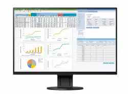 Монитор EIZO EV2457-BK, 24.1", 16:10, 1920x1200, 350 cd/m2, 178/178, IPS , Display Port in/out, HDMI, DVI-D, DSub, USB hub, Black
