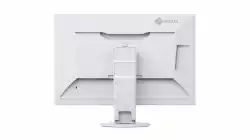 Монитор EIZO EV2457-WT, 24.1", 16:10, 1920x1200, 350 cd/m2, 178/178, IPS , Display Port in/out, HDMI, DVI-D, DSub, USB hub, White