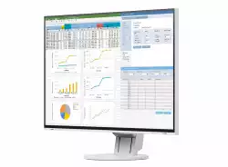 Монитор EIZO EV2457-WT, 24.1", 16:10, 1920x1200, 350 cd/m2, 178/178, IPS , Display Port in/out, HDMI, DVI-D, DSub, USB hub, White