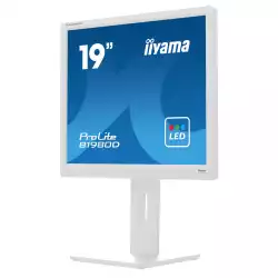 Монитор IIYAMA B1980D-W5, 19" TN LED panel, 5:4, 1280x1024, 60Hz, 250 cd/m2, 1000:1, 5ms, VGA, DVI, HAS, Pivot, Swivel, Tilt, VESA 100, White