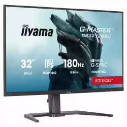 Монитор IIYAMA GB3272QSU-B1, 31.5 inch Gaming monitor, Fast IPS, QHD 2560x1440, 400cd/m2, 1000:1, 180Hz, 0.5ms, HDR10, G-SYNC Compatible, Black Tuner, 2x HDMI, DP, 2x USB-C, 2x USB, Audio out, Speakers, HAS, Swivel, Tilt, VESA, Black