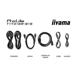 Монитор IIYAMA T1731SR-B1S, 17", Touch monitor, Serial resistive technology, TN Panel, 5:4, SVGA 1280 x 1024, 250cd/m2, 1000:1, 5ms, IP54 Front, OSD key lock, VGA, HDMI, DisplayPort, Speakers, Tilt, VESA 100, Black