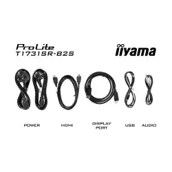 Монитор IIYAMA T1731SR-B2S, 17 inch, Touch monitor, Serial resistive technology, TN panel, AG, 5:4, 1280 x 1024, 250cd/m2, 1000:1, 5ms, IP54 Front, VGA, HDMI, DP, Audio, Speakers, Tilt, Face Up, VESA 100, Black