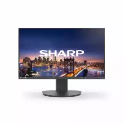 Монитор SHARP EA241F, 24 inch, IPS panel, FHD 1920x1080, sRGB, 250cd/m2, 1000:1, 5ms, VGA, DVI-D, DP, HDMI, 3x USB, Speakers, HAS, Swivel, Tilt, Pivot, Flicker-free, Low Blue Light, VESA 100, Black, DDEA241F