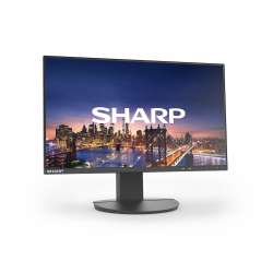 Монитор SHARP EA241F Black, 23.8 inch, IPS panel, FHD 1920x1080, sRGB, 250cd/m2, 1000:1, 5ms, VGA, DVI-D, DP, HDMI, USB, Speakers, HAS, Swivel, Tilt, Pivot, Flicker-free, VESA 100, Energy class C, Black, L50EA241F