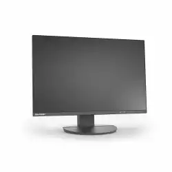 Монитор SHARP EA241W, 24 inch, IPS panel, 16:10, WUXGA 1920x1200, sRGB, 300cd/m2, 1000:1, 5ms, VGA, DVI-D, DP, HDMI, 3x USB, Speakers, HAS, Swivel, Tilt, Pivot, Flicker-free, Low Blue Light, VESA 100, Black, DDEA241W
