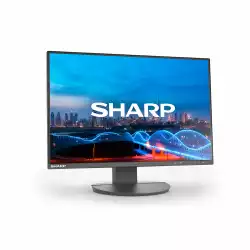 Монитор SHARP EA241W, 24 inch, IPS panel, 16:10, WUXGA 1920x1200, sRGB, 300cd/m2, 1000:1, 5ms, VGA, DVI-D, DP, HDMI, 3x USB, Speakers, HAS, Swivel, Tilt, Pivot, Flicker-free, Low Blue Light, VESA 100, Black, DDEA241W