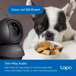 Wi-Fi Pan/Tilt камера за наблюдение TP-Link Tapo C201