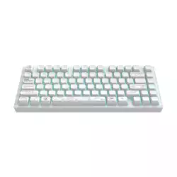 Геймърскa безжична клавиатура Dark Project ALU81A Terra Nova R2 White RGB