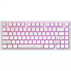 Геймърскa механична клавиатура Dark Project ALU81A Terra Nostra White RGB