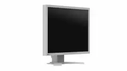 Медицински монитор EIZO RadiForce S2134-GR Цветен, Сив