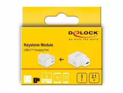 Модул Delock, USB-C порт за зареждане, За монтаж на панел Keystone
