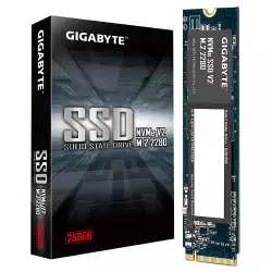SSD GIGABYTE NVMe V2 256GB, PCIe 3.0                          