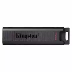 USB памет KINGSTON DataTraveler Max, 256GB
