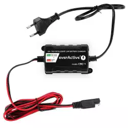 Зарядно процесорно устройство за акумулатор 6V/12V everActive CBC-1 v2  до 1А за автомобили и мотоциклети