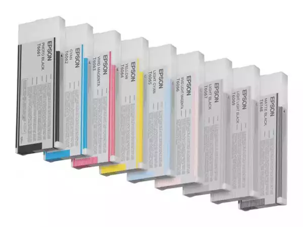 EPSON 5LB T6069 ink cartridge light light black standard capacity 220ml 1-pack