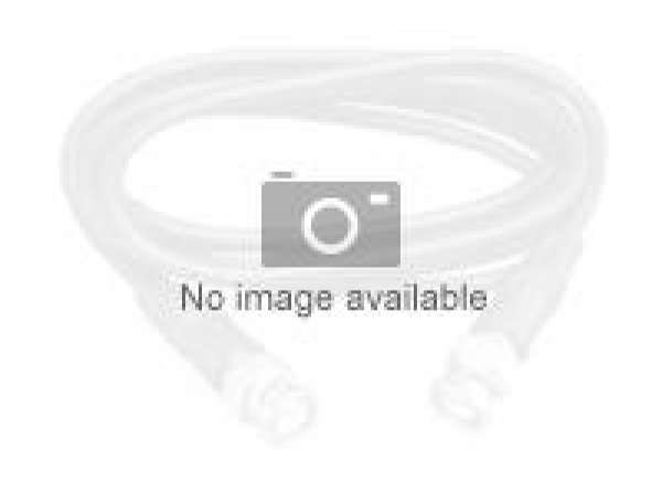 LENOVO ISG 3m LC-LC OM3 MMF Cable LENOVO ISG 3m LC-LC OM3 MMF Cable