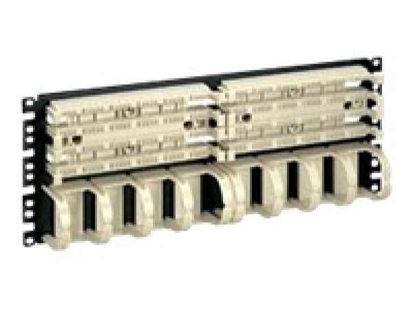 Pan-Punch Category 5e 19 Rack Mount Panel, with two 100-pair bases with jumper