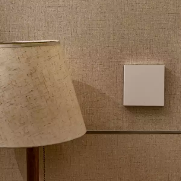 Aqara Smart Wall Switch H1 (no neutral, single rocker): Model: WS-EUK01; SKU: AK071EUW01