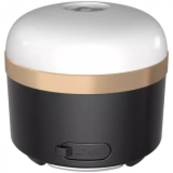 Ecoflow Black Camp Lights