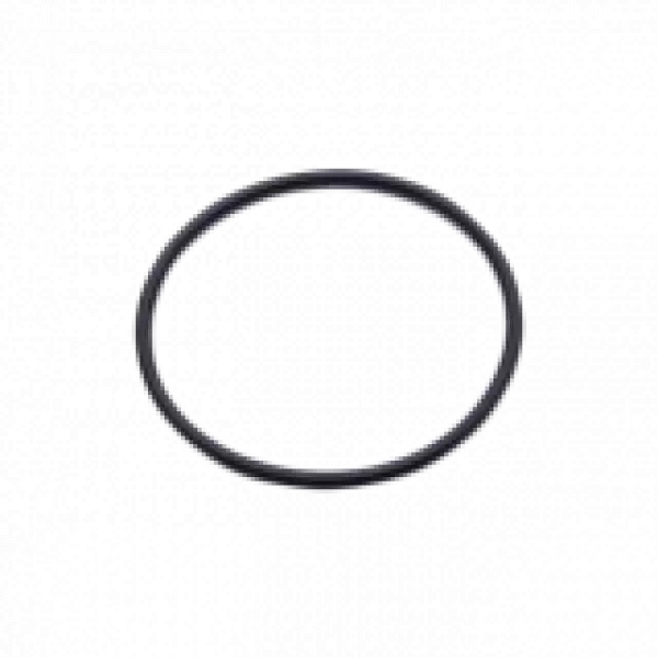 EK-D5 Pump O-Ring