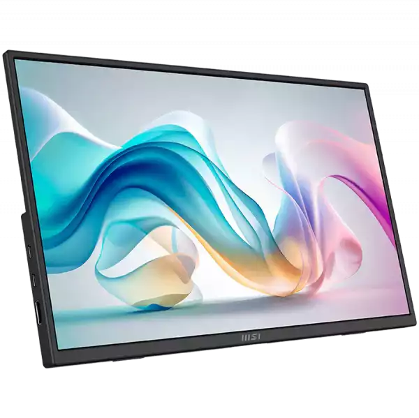 Монитор MSI PRO MP165 E6 Professional Business Portable, 15.6