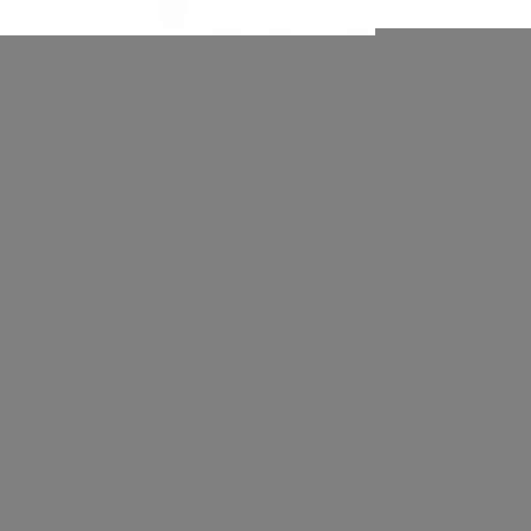 SANDISK Cruzer Blade USB Flash Drive 16GB SANDISK Cruzer Blade USB Flash Drive 16GB