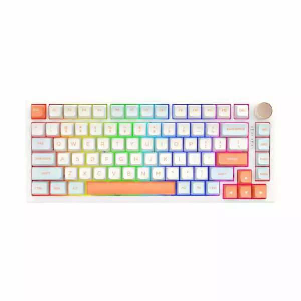 VGN професионална геймърска механична клавиатура Professional Gaming Mechanical Keyboard N75 RGB Jelly Orange - Power Purple Switches [Tactile]