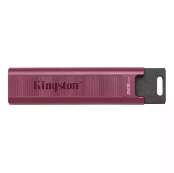 256GB USB3.2 DTMAXA KINGSTON