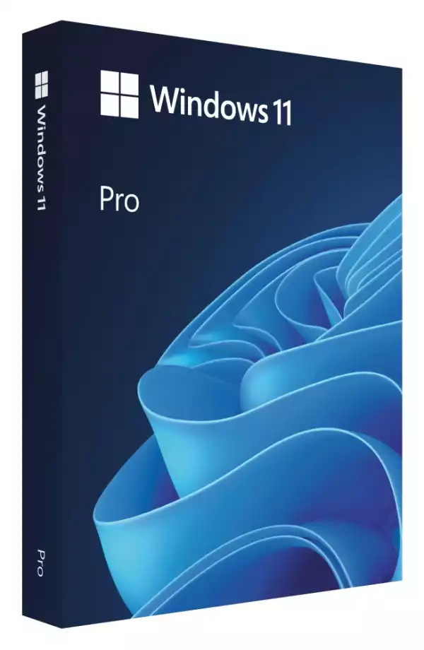 WIN 11 PRO 64BIT BULG USB FPP