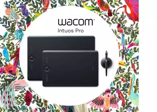 Wacom Intuos Pro L