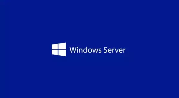 Windows Server CAL 2025 English 1pk DSP OEI 1 Clt User CAL