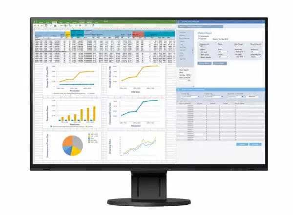 Монитор EIZO EV2457-BK, 24.1", 16:10, 1920x1200, 350 cd/m2, 178/178, IPS , Display Port in/out, HDMI, DVI-D, DSub, USB hub, Black