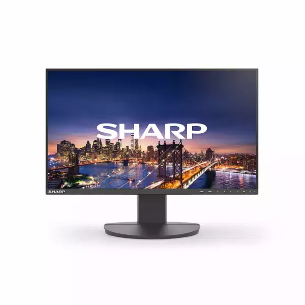 Монитор SHARP EA241F, 24 inch, IPS panel, FHD 1920x1080, sRGB, 250cd/m2, 1000:1, 5ms, VGA, DVI-D, DP, HDMI, 3x USB, Speakers, HAS, Swivel, Tilt, Pivot, Flicker-free, Low Blue Light, VESA 100, Black, DDEA241F